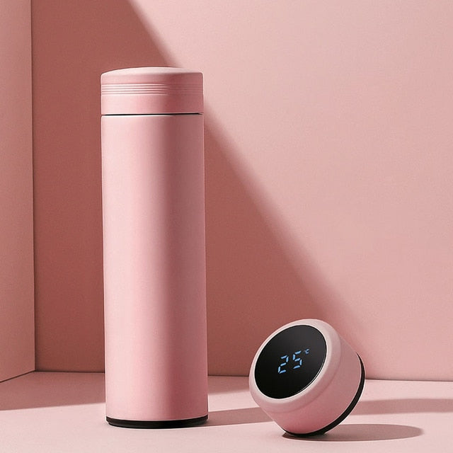 Smart Hydration Stainless Bottle